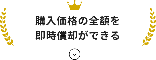 購入価格の全額を即時償却ができる